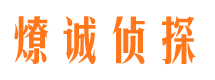 兴隆市场调查